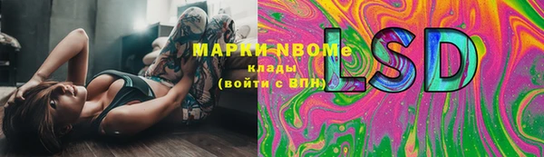 мдпв Костерёво