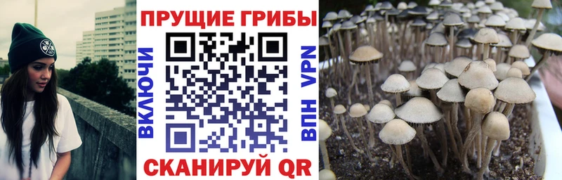 Псилоцибиновые грибы мицелий  Мелеуз 